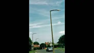 Concrete Lamp Posts - Survivors