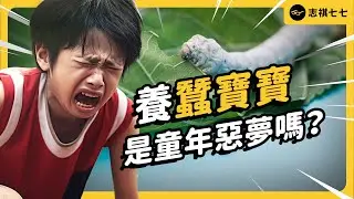 小學生的全民運動！為何台灣小朋友要養蠶寶寶？現在的小孩還要養嗎？《台味七七》EP 039｜志祺七七