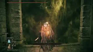 Elden Ring Thorn After Nerf