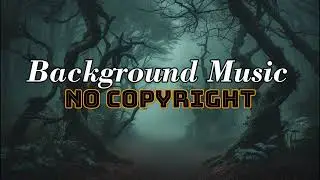 Jungle Background Sound 🌿 | Relaxing Forest Ambience & Nature Sounds [No Copyright]