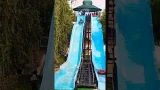 Dolphin water park in Agra.