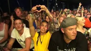 Four Fighters with Stereotonics at Big Fake Festival 2019