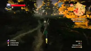 Witcher 3: Liberating a village overrun by bandits!