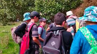 Pohatu Penguins conservation club 2020, Akaroa, NZ