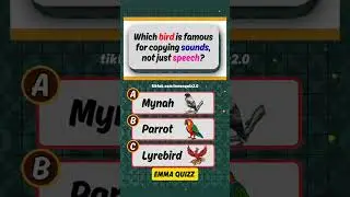 Birds Quiz, Guess the answer, General knowledge quiz #guess #creatorsearchinsights #generalknowledg