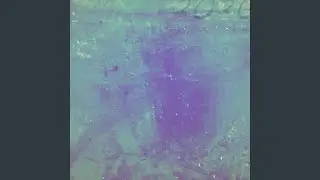 Fog 2020