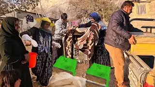 Ghodrat's sudden appearance to move the bee hive