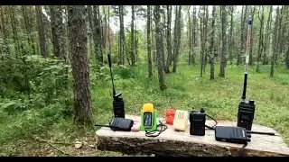 QUANSHENG TK-11. Лесной тест гармошек.