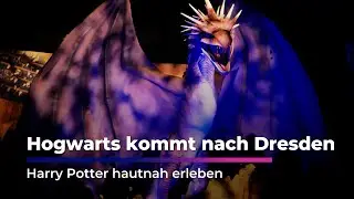 Harry Potter: Ausstellung jetzt im Erlwein Forum Dresden I Sachsen Fernsehen