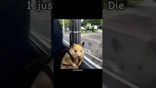 I am so tired 🙂💔#fyp #foryou #foryoupage #viralvideo #funny #tired #depression #pppppppppppppppp