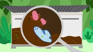 From Waste to Life: How can compost machines help Hawaiʻi