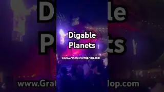 Digable Planets, Performing &ldquo;Rebirth of Slick (Cool Like Dat) at Prospect Park, Brooklyn, NY
