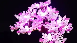 GC20 GC21 10281