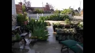 Simple Front Yard Landscaping Ideas Pictures