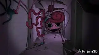 Mommy long legs 