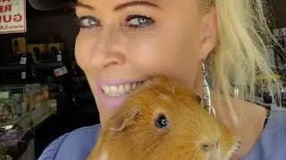 A Sunny Saturday Live at the LA Guinea Pig Rescue!