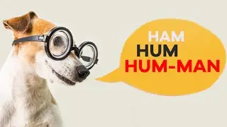 Some chilling ways animals behave like humans!