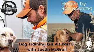 Dog Training Q&A with Justin McGrail Part Six