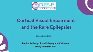 Cortical Visual Impairment (CVI) in the Rare Epilepsies