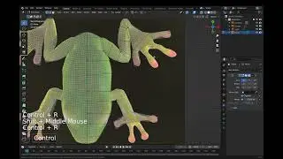 Blender tutorial Model a Low Poly Frog - no commentary. Blender version 3.4.1