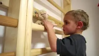 Csimborasszó ház TSMT