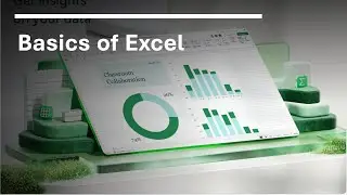 Excel Basics 2