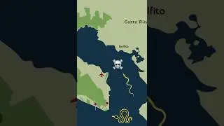 Yellow Sea Snakes in Costa Rica
