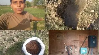 गेहूं के खेत में देसी खाद का छिड़काव  🚩🚩💐