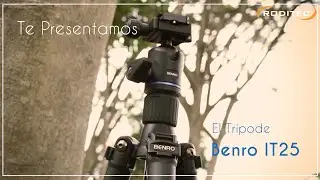 Roditec | Tripode IT25 Benro
