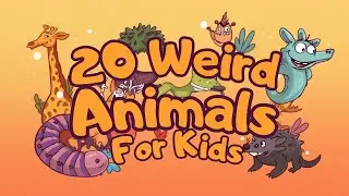 Meet 20 Weird and Wonderful Animals 🌍🐡 | Fun Learning for Kids