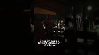 Secrets of Animal Kingdom Lodge 🦒
