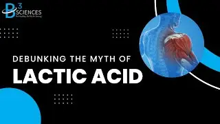 Debunking The Myth of Lactic Acid - Blood Flow Restriction Training
