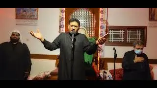 لطم وفاة السيدة سكينة المظلومة | زهير البو سعيد . 