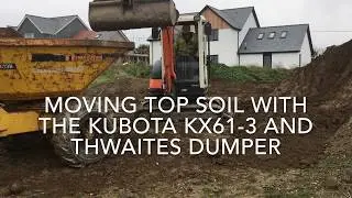 Shifting top soil with the kubota kx61-3 and thwaites dumper