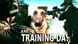 Can you train with AIRSOFT GUNS?