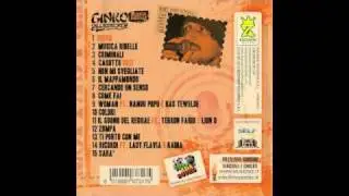 GINKO (Villa Ada Posse) - NON MI SVEGLIATE - MUSICA RIBELLE - BIZZARRI RECORDS 2011