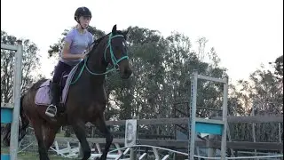 One month with Romeo! 30 days out of 182!