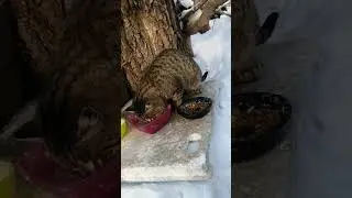 -43&deg; 18 января 2026г. Сбербанк 2202203654418625 Елена К. Kaspi +7 771 194 42 69 Глеб Т.