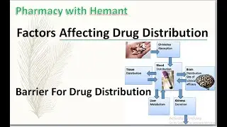 Factors Affecting Drug Distribution