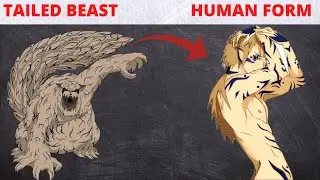 TAILED BEAST IN HUMAN FORM - Naruto - Boruto