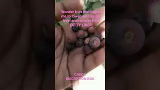 #homegrown falsa #fruit #gardening #nature #fattyliver #jaundice #health #diet