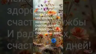 19 апреля 2025 г.