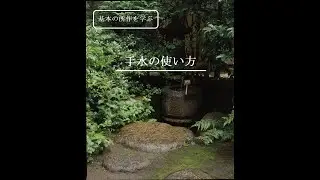 基本の所作１　手水の使い方
