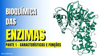 ENZIMAS - características e funções - parte 1