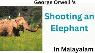Shooting an Elephant by George Orwell Summary in Malayalam| Themes Explained