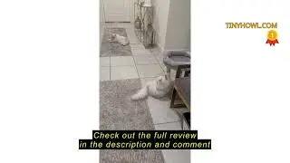 Review MECOOL 4in1 Small Cat Tree,Scratching Post with Tower Soft Bed, Sisal Carpet Jute Posts with