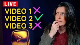 Final Lesson: How I Decide Which Content to Kill or Scale