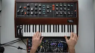 Moog Model D and Qu-Bit Modules | Ambient explorations