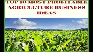 Top 10 Most Profitable Agriculture Business Ideas to Start Immediately with Low Investment