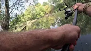 Surface fishing for carp catching a 32-12